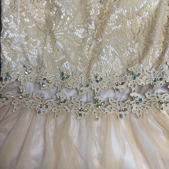 Chic Gold Lace Midi Dress - Picture 12 of 12